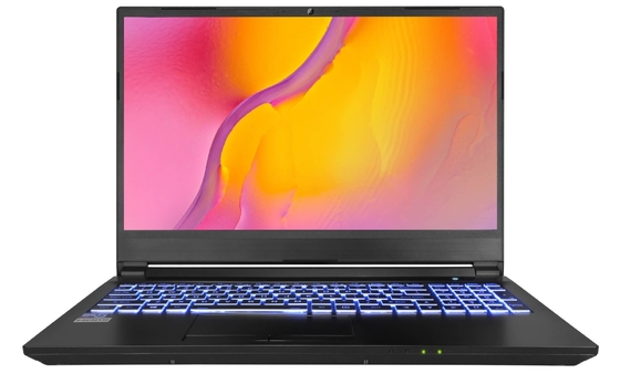 15.6inch RTX3060 6GB a consacré le clavier rétro-éclairé coloré d'unité centrale de traitement de l'ordinateur portable I7 11800H de carte graphique